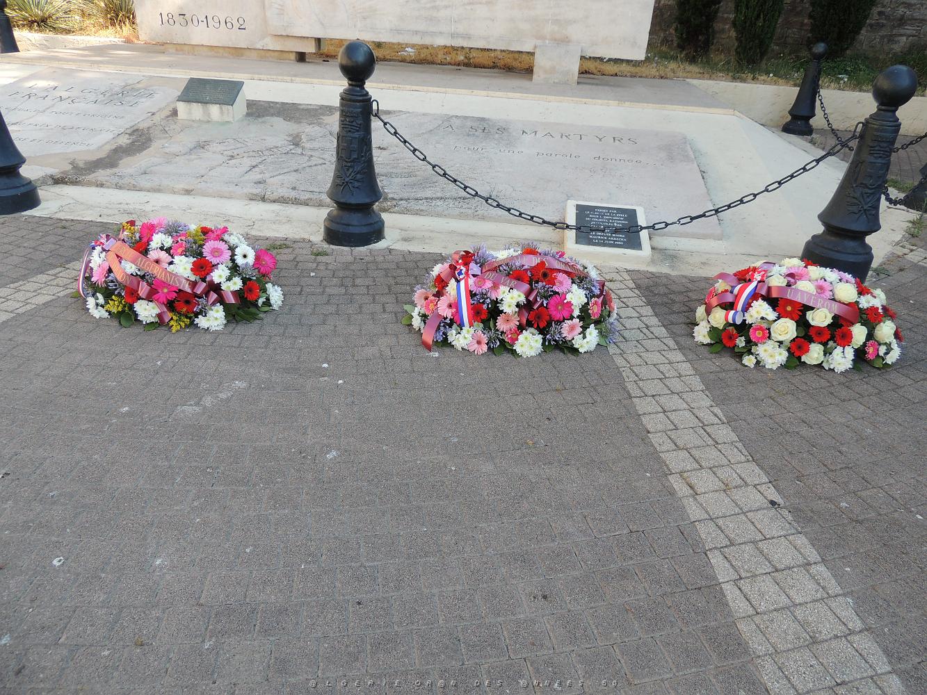 2019 07 05 TOULON HOMMAGE A NOS DISPARUS ET MORTS DU 5 07 1962 A ORAN (11).JPG -           